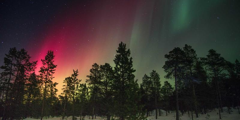 会员制